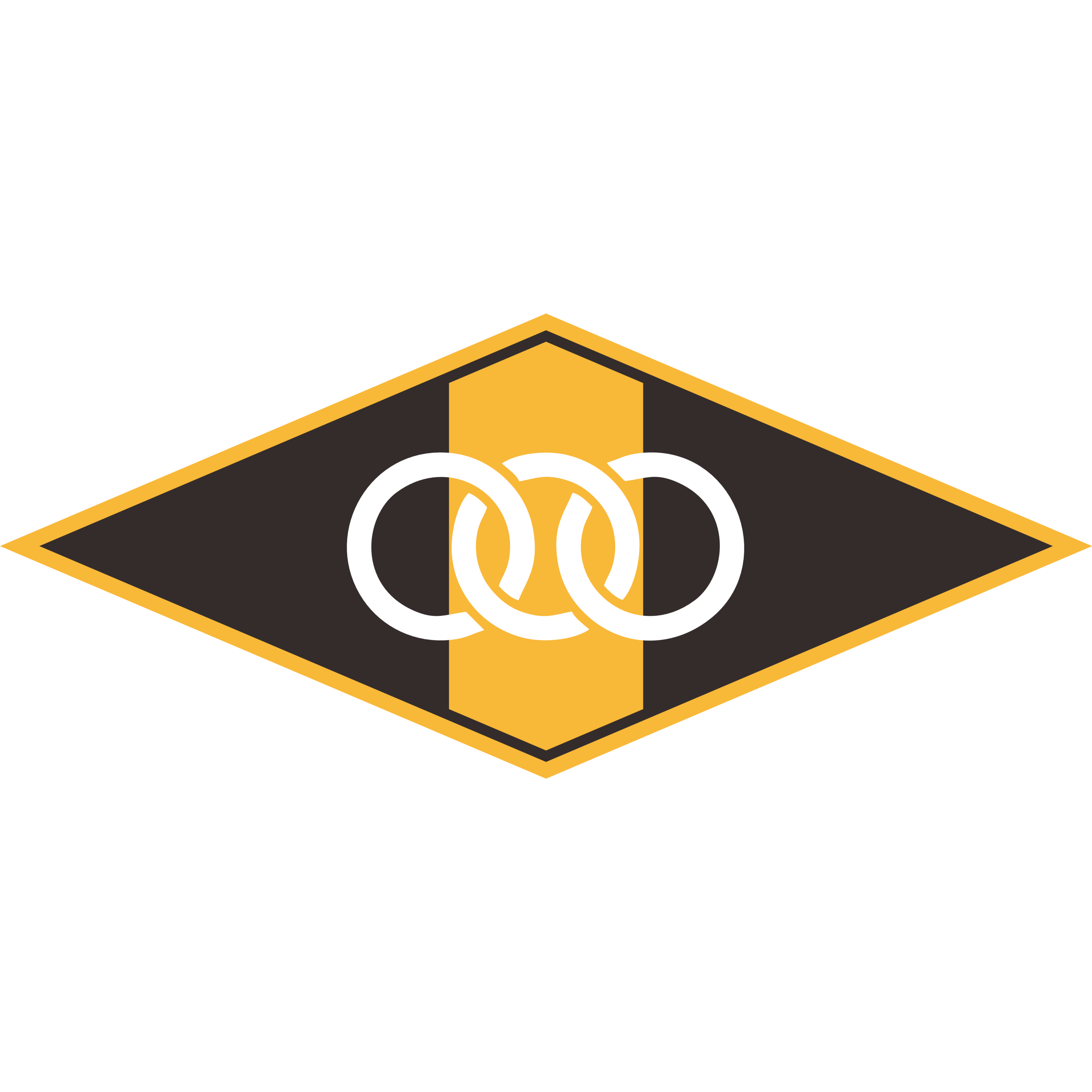 ACS logo