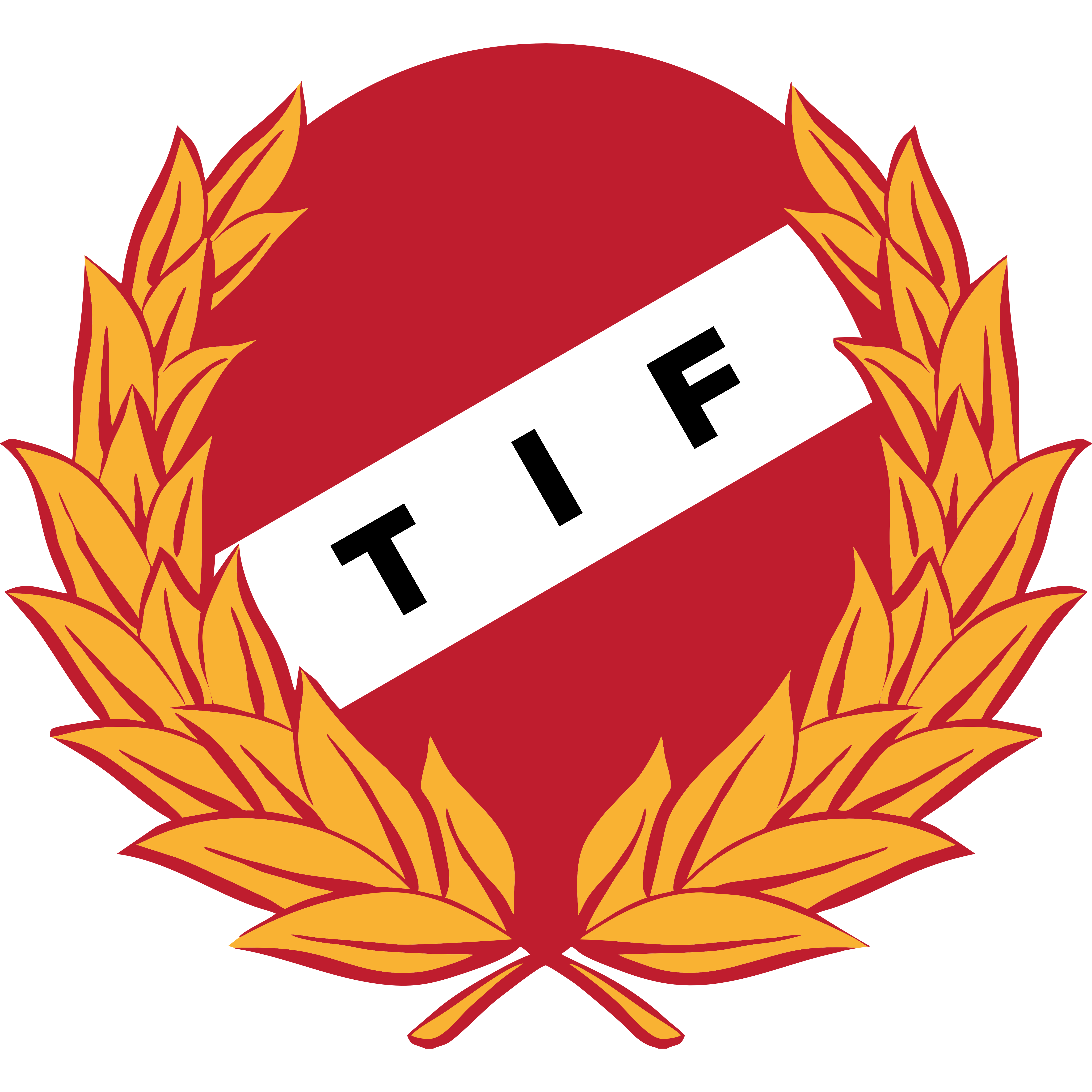TIF logo